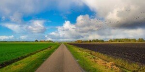 Złóż wniosek o&nbsp;dopłaty bezpośrednie 2024 — ruszył nabór!