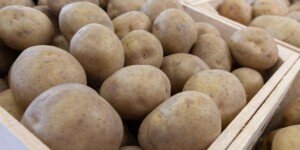 Dzisiejsze ceny ziemniaków (3.04.2024). A jakie prognozy?