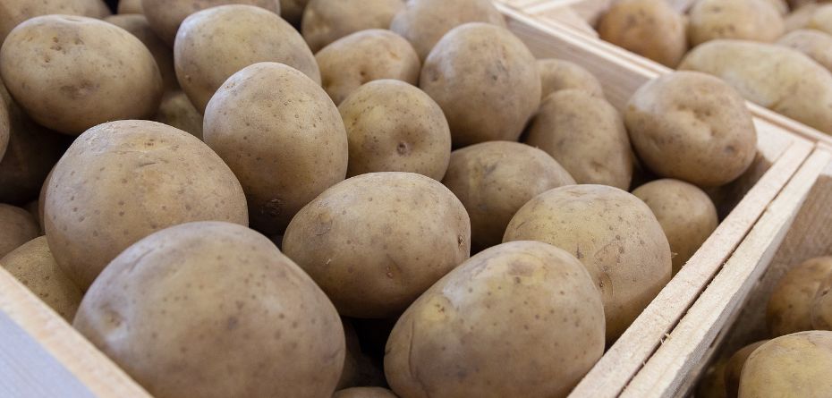 Dzisiejsze ceny ziemniaków (3.04.2024). A jakie prognozy?