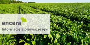 ENCERA zmienia zasady gry w&nbsp;rolnictwie