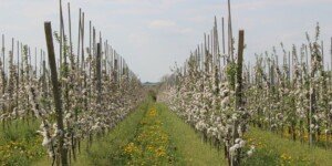 1 mld więcej na rozwój małych gospodarstw 2024