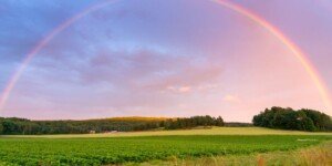 Do kiedy obowiązkowe złożenie deklaracji FOR?