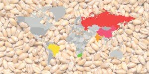 Odpowiednik OPEC — rosyjski pomysł na globalny rynek zbóż