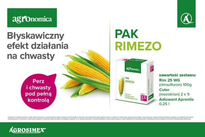 powschodowe zwalczanie chwastów