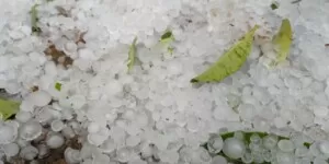 Niszczycielskie gradobicie na Lubelszczyźnie