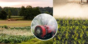 Kompleksowe interwencyjne żywienie roślin uprawnych