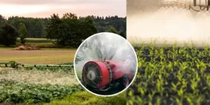 Kompleksowe interwencyjne żywienie roślin uprawnych