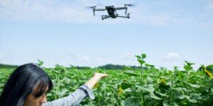 Czy będzie więcej pieniędzy na rolnictwo 4.0