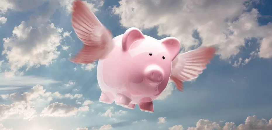 Wypłata dopłat do sprzedanego zboża 2024