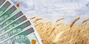 Skończył się nabór na dopłaty do sprzedanych zbóż