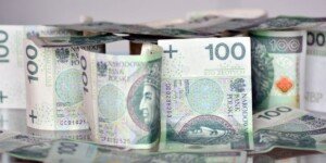 Premia dla młodych rolników 2024 – ruszył nabór wniosków