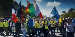Ostatni protest rolników przed wyborami do PE