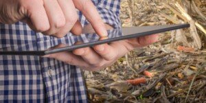 Dlaczego rolnicy nie ubezpieczają upraw?