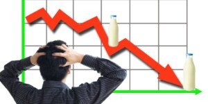 Światowe ceny mleka niepokoją rolników