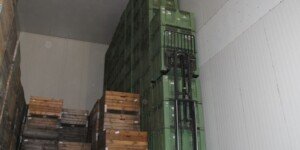 Ile mamy polskich jabłek w&nbsp;magazynach