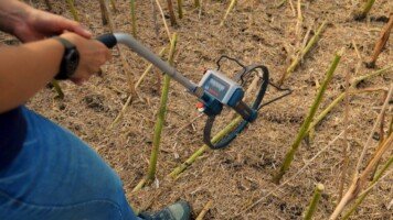 Liga Mistrzów Plonowania 2024