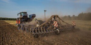Ile kosztuje siew rzepaku? Aktualna cena usług rolniczych
