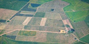 Stawka podatku rolnego 2024 i&nbsp;odpis 1,5% — dla kogo?