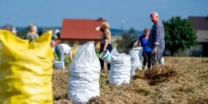Jaki los emerytury rolniczej?
