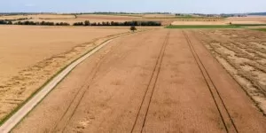Unijna produkcja zbóż 2024