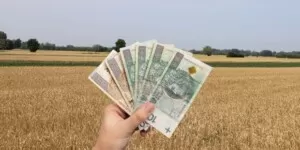 Większe zaliczki dopłat bezpośrednich dla rolników. Jest zgoda UE