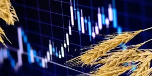 Ceny na światowym rynku zbóż i&nbsp;oleistych w&nbsp;górę