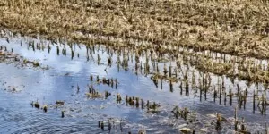 Kiedy i&nbsp;na jakich zasadach ruszy szacowanie strat po powodzi?