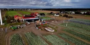 Odmiany warzyw Hazera w&nbsp;Kościelnej Wsi