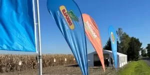 Kukurydza marki DEKALB 2025