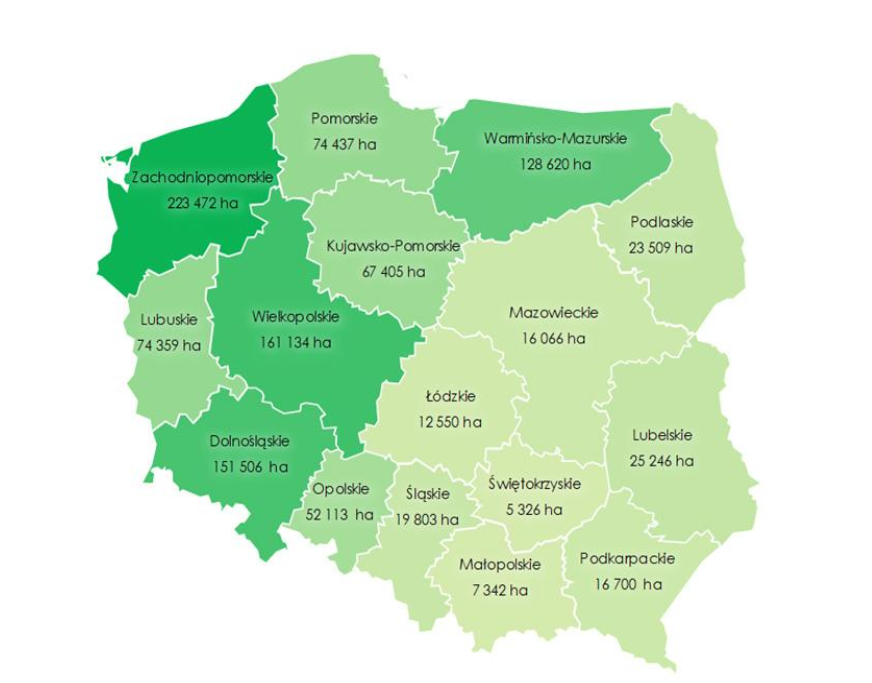 cena dzierżawy ziemi rolnej 2024