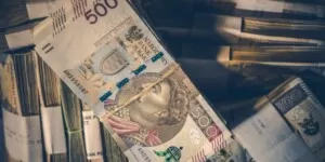 Do wzięcia milionowe dotacje dla rolników. Właśnie ruszył nabór