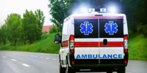 Toksyczne środki na gryzonie bardzo łatwe do nabycia przez każdego