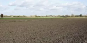Dzierżawa państwowych gruntów rolnych przez indywidualnych rolników. Zapowiedź zmian w ustawie