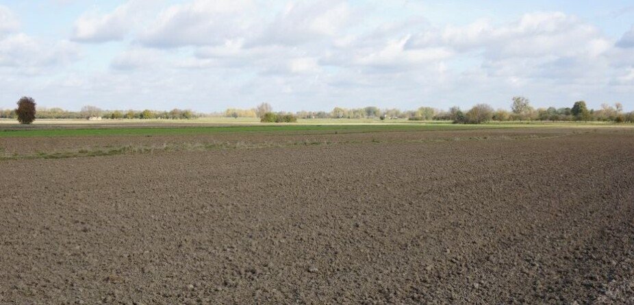 Dzierżawa państwowych gruntów rolnych przez indywidualnych rolników. Zapowiedź zmian w ustawie