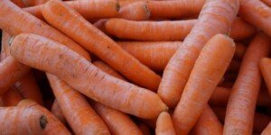 Jak przechowywać marchew bez strat?