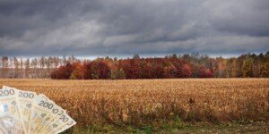 Pomoc dla rolników 2024 — jakie nabory wniosków w&nbsp;ARiMR?