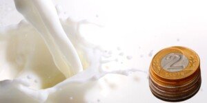 Jakie ceny mleka w grudniu 2024?