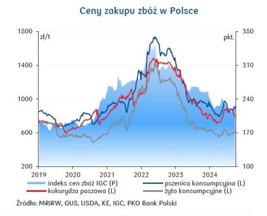 Prognozy cen zbóż 2025