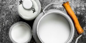 Ceny mleka w skupie — jakie są prognozy na 2025 r.?