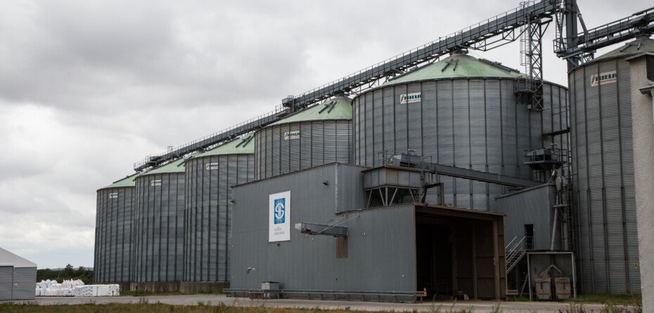 Aktualna cena pszenicy na MATIF 24 grudnia 2024 r.