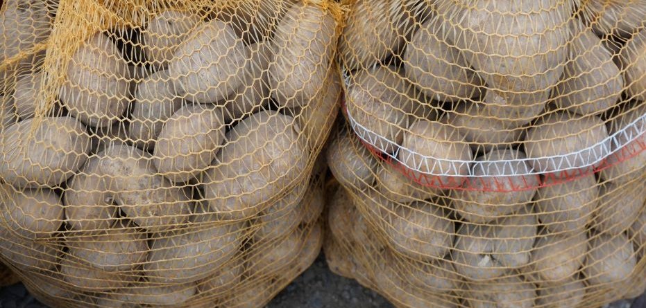 Ile kosztują ziemniaki na dzień dzisiejszy? (12.12.2024)