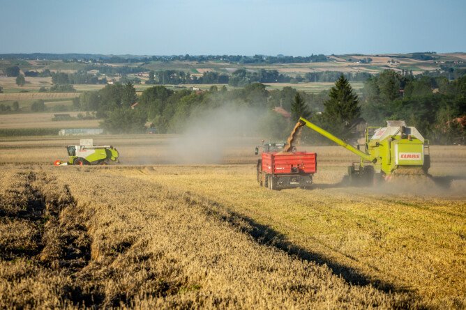 Produkcja zbóż w&nbsp;Polsce 2024
