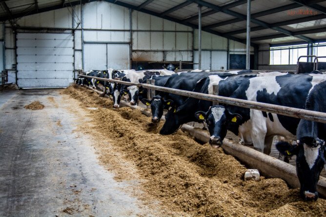Szkolenie z antybiotyków dla rolników