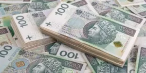 Dopłaty dla rolników 2024