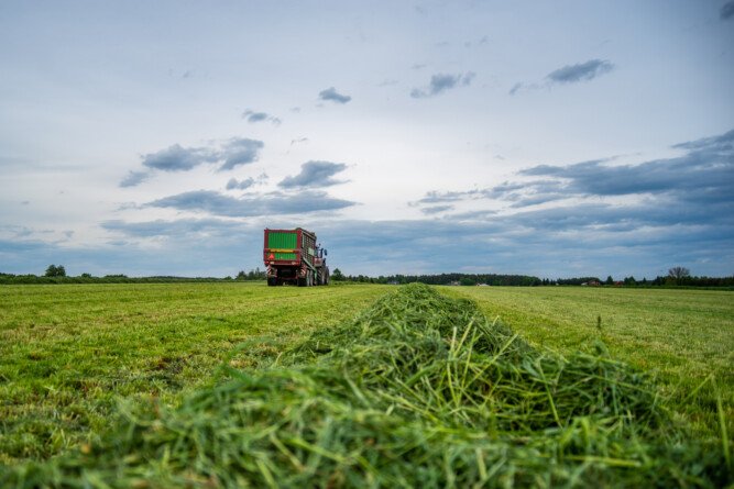 zmiany w dopłatach bezpośrednich 2025