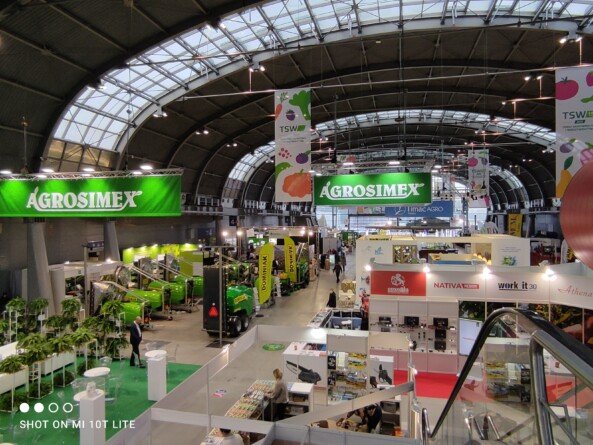 TSW 2025
