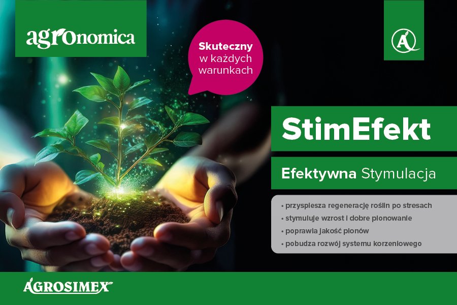 Stymulacja wzrostu roślin-biostymulator StimEfekt