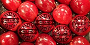 Eksport jabłek w styczniu 2025 r. Kazachstan wraca do gry