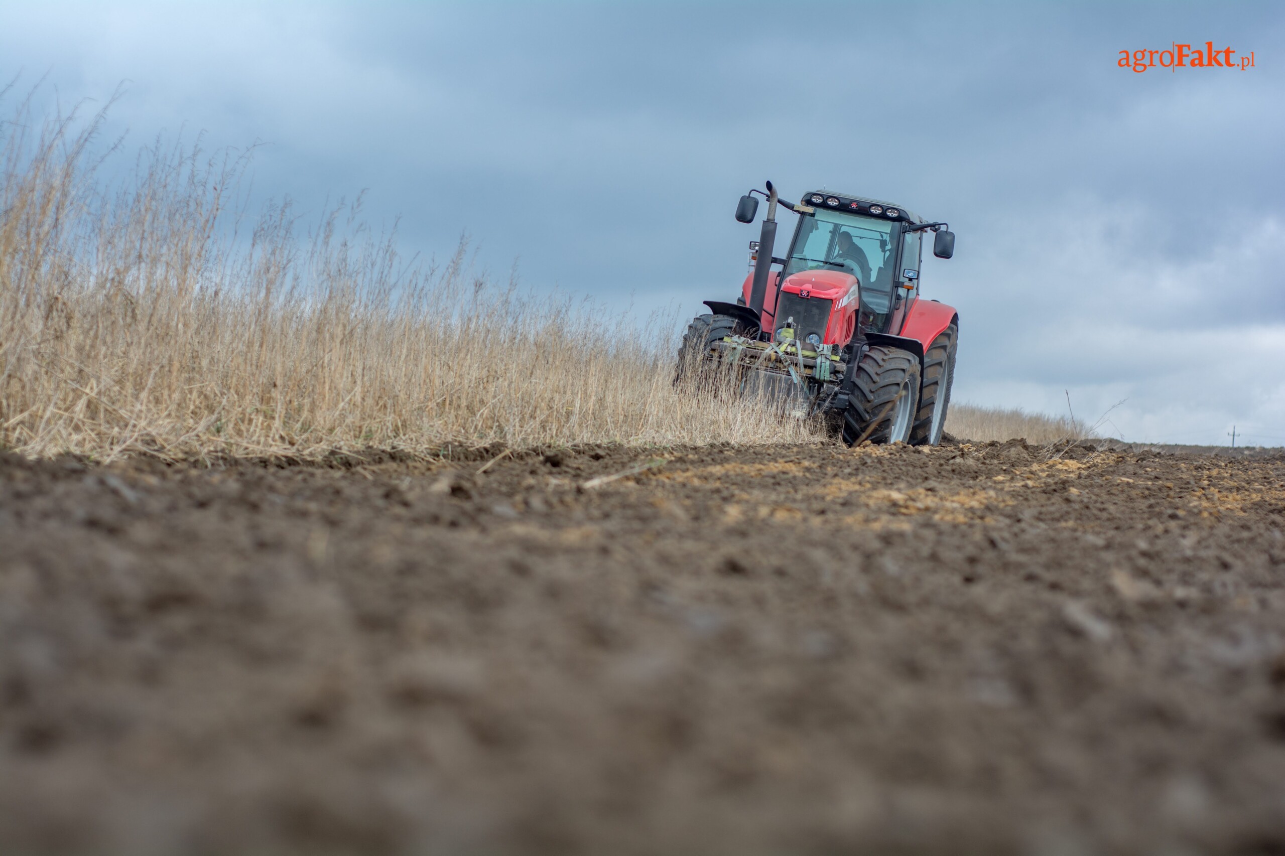 orka pod zboża jare
(zdjęcia z 2020 roku!)
