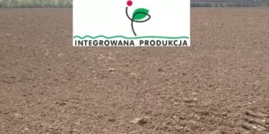 Zgłoszenie do IP